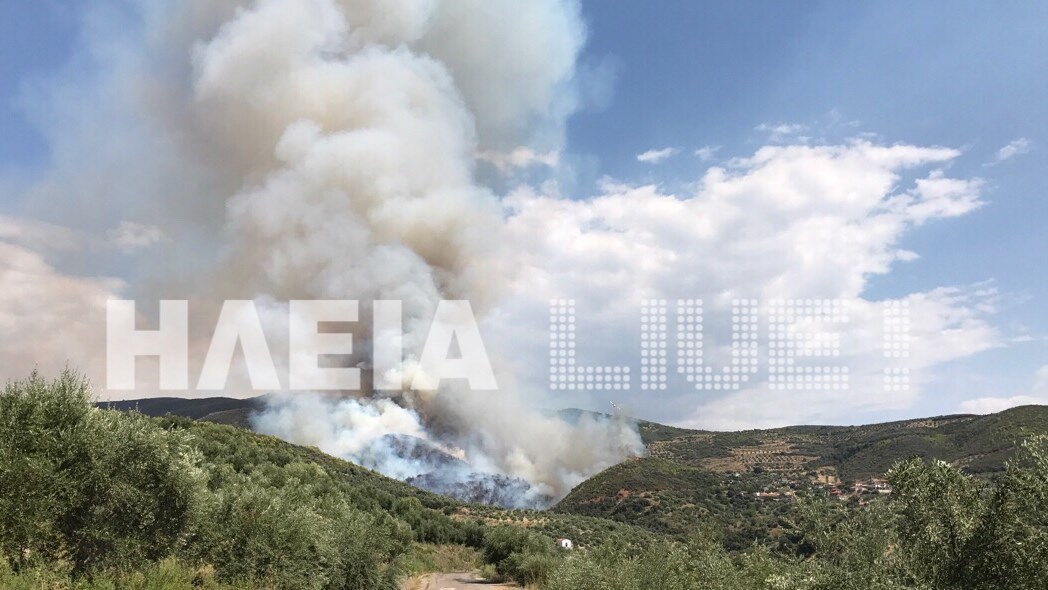 Κοντά στο χωριό Ροδινά Ζαχάρως η φωτιά – Καθησυχαστική η Πυροσβεστική