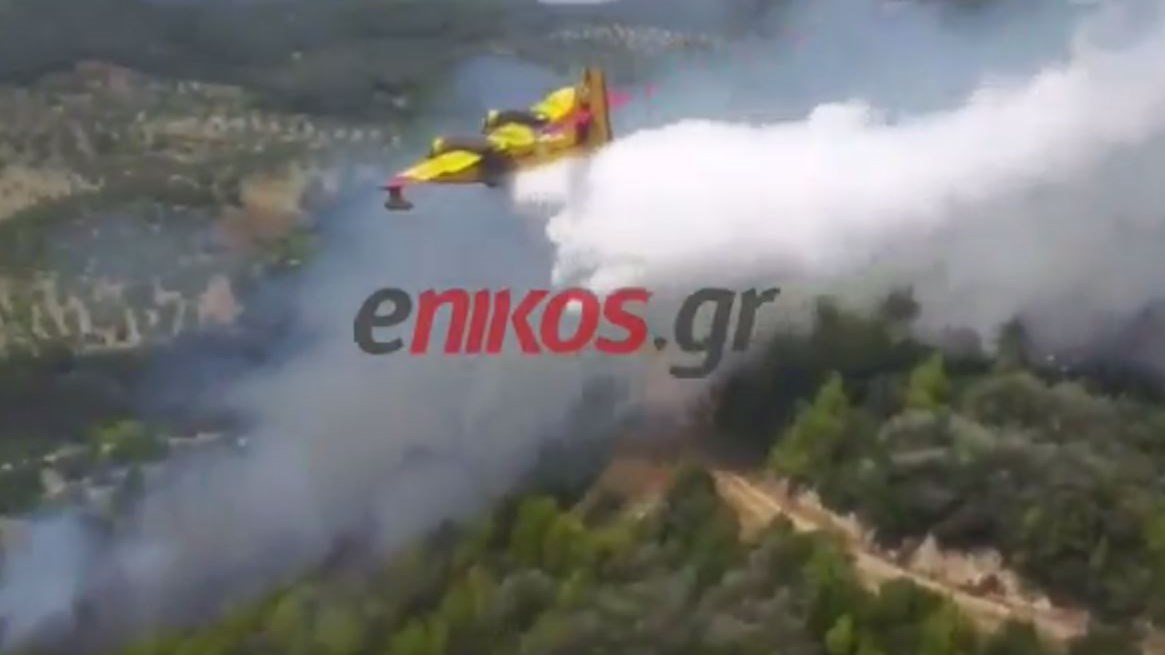 Μαίνεται η φωτιά στην Ηλεία – Εντολή εκκένωσης για δύο χωριά – Συγκλονιστικό ΒΙΝΤΕΟ αναγνώστη