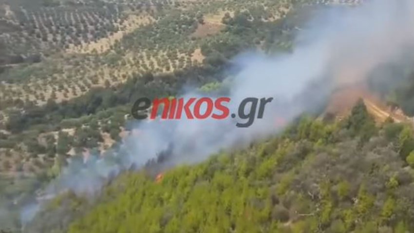 Μαίνεται η φωτιά στην Ηλεία – Δεν απειλούνται κατοικημένες περιοχές – ΦΩΤΟ – ΒΙΝΤΕΟ