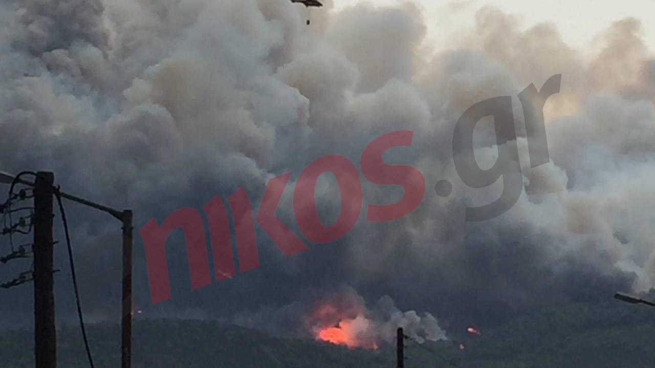 Μαίνεται η φωτιά στην Κορινθία – Ενισχύονται οι πυροσβεστικές δυνάμεις – ΦΩΤΟ αναγνώστη