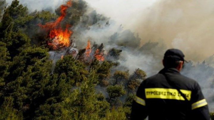 Νέα πυρκαγιά στην Ηλεία – Κινδύνεψε ηλικιωμένη