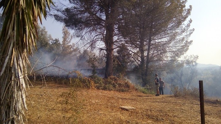Σε εξέλιξη η φωτιά στην Κέρκυρα