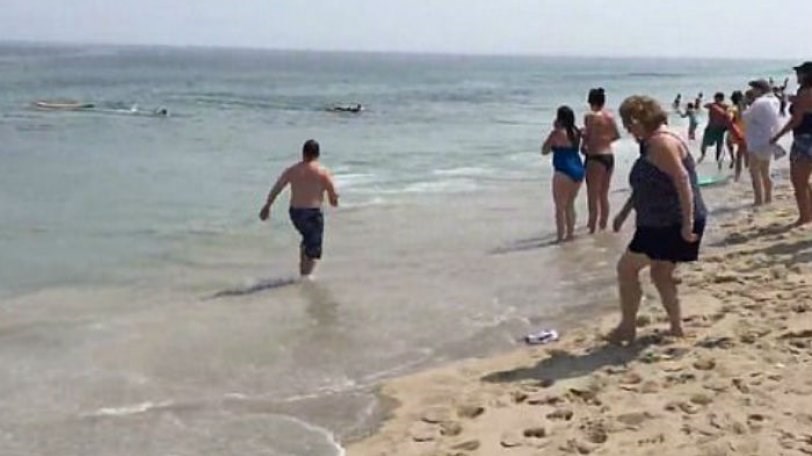 Καρχαρίας έφτασε τρία μέτρα μακριά από την ακτή  και «σκόρπισε» πανικό – ΒΙΝΤΕΟ
