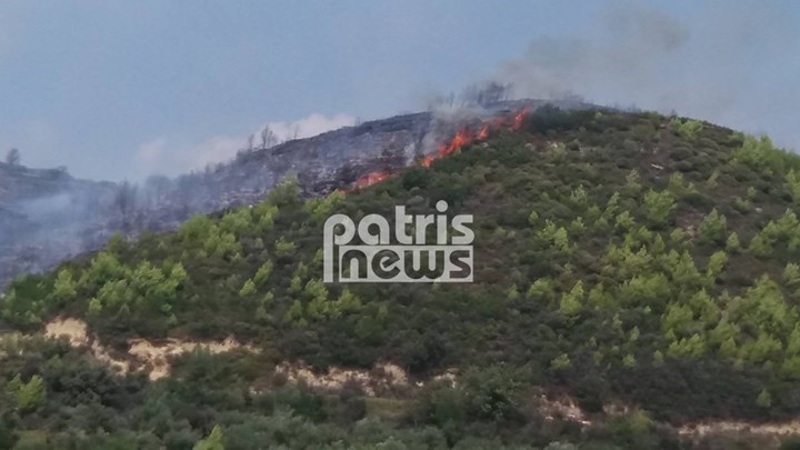Σε ύφεση η πυρκαγιά στην Ηλεία