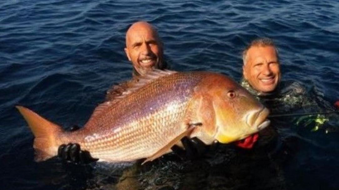 Ψαροντουφεκάς έπιασε συναγρίδα 11 κιλών στη Χίο και «έγραψε» ιστορία – ΦΩΤΟ