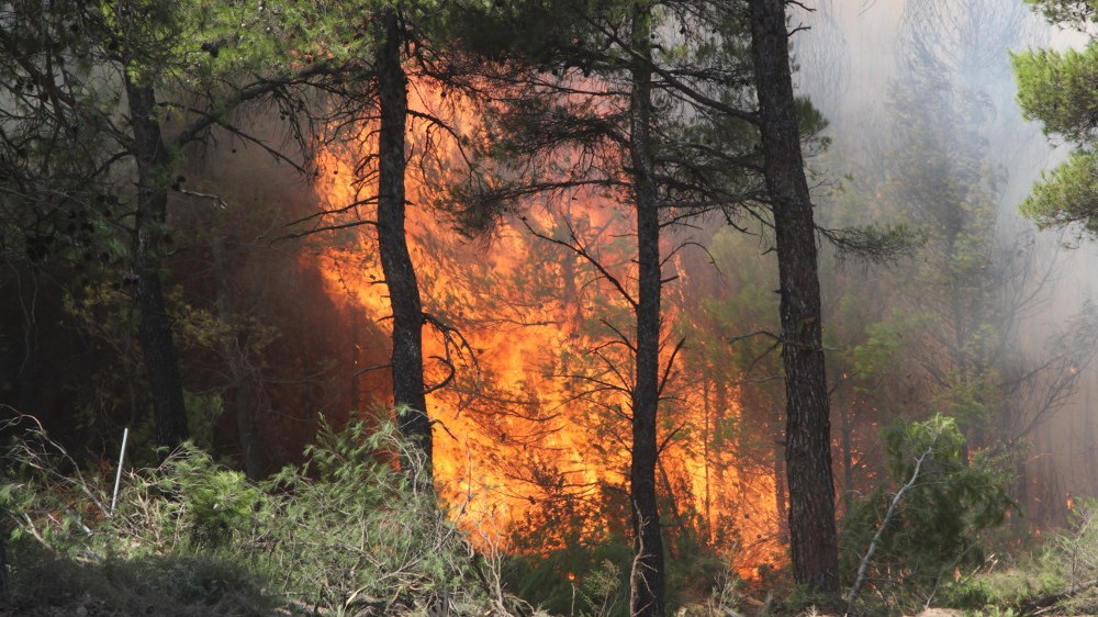 Κρήτη: Υπό μερικό έλεγχο η φωτιά στο Δεμάτι Ηρακλείου