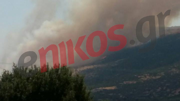 Μαίνεται η φωτιά στα Ιωάννινα – ΦΩΤΟ αναγνώστη