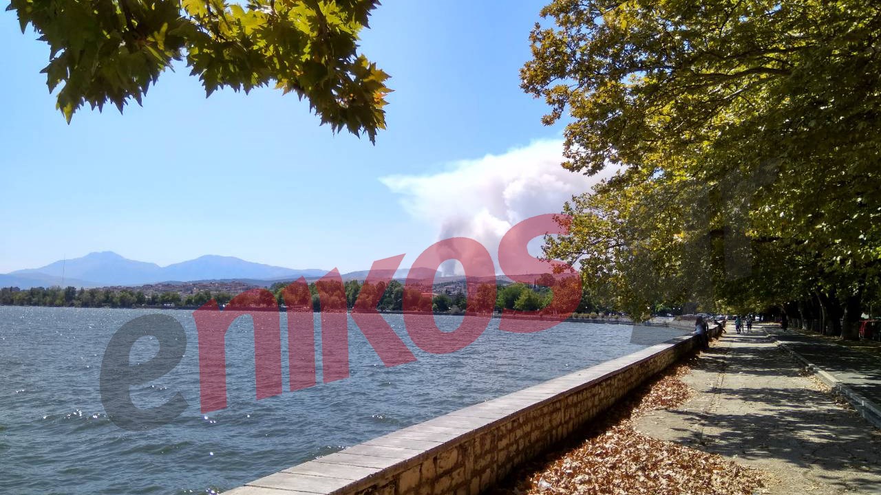 Μάχη με τις φλόγες στα Ιωάννινα – ΦΩΤΟ αναγνώστη