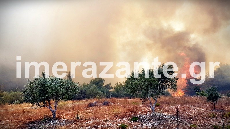 Επιχείρηση της πυροσβεστικής στη Ζάκυνθο για την απομάκρυνση οχημάτων με τουρίστες