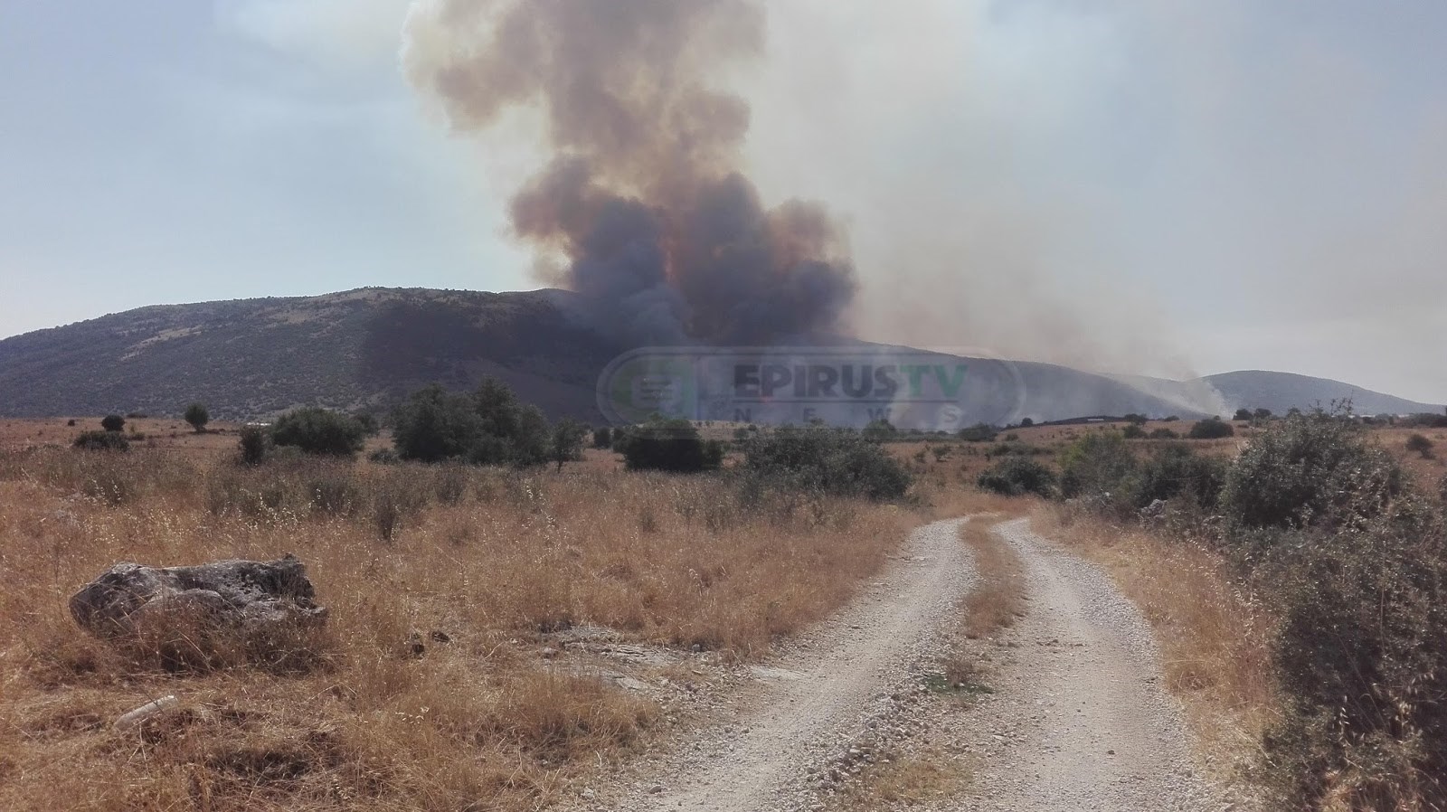 Ολονύχτια μάχη με τις φλόγες έδωσαν οι πυροσβέστες στα Ιωάννινα
