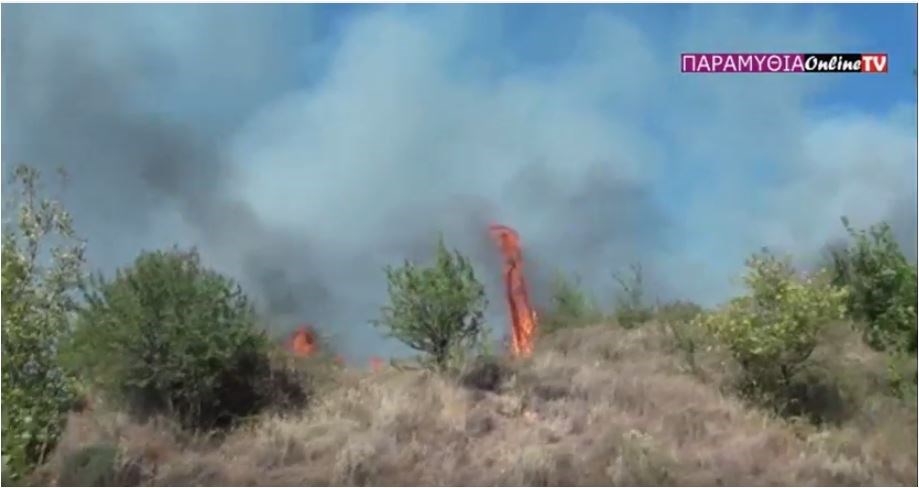 Πυρκαγιά στη Θεσπρωτία – ΒΙΝΤΕΟ