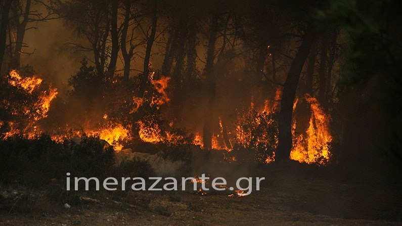 Άνδρας αλβανικής καταγωγής κρατείται ως ύποπτος για εμπρησμό στη Ζάκυνθο