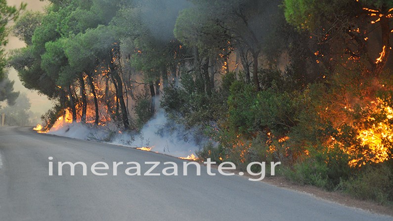47 πυρκαγιές σε ένα 24ωρο – Ποια η κατάσταση σε Ζάκυνθο και Ναυπακτία