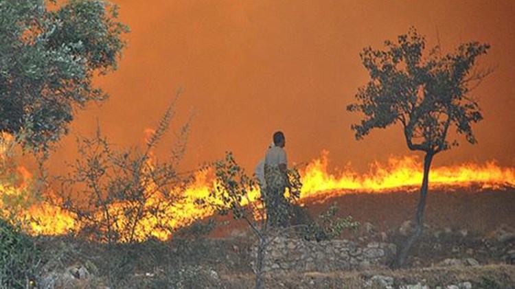 Αποκάλυψη στον Realfm 97,8: Συμφέροντα για 15.000 αμφισβητούμενα στρέμματα πίσω από τις φωτιές στη Ζάκυνθο, καταγγέλλει ο Περιφερειάρχης Ιονίου