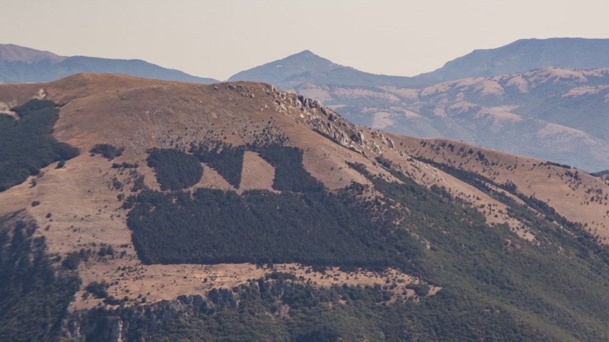 Καίγονται τα δέντρα του Μουσολίνι – ΦΩΤΟ