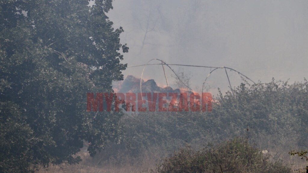 Σε εξέλιξη πυρκαγιά στην Πρέβεζα – ΒΙΝΤΕΟ