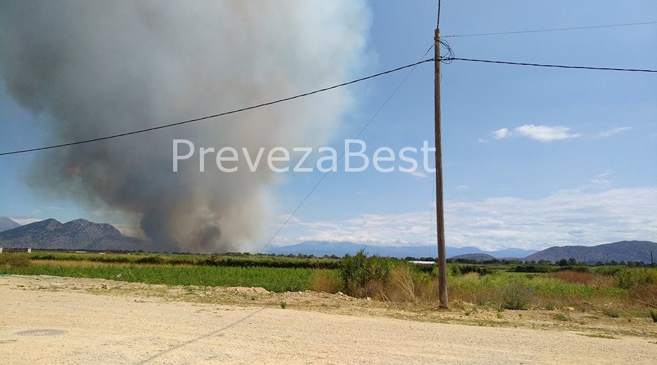 Νέα φωτιά στην Πρέβεζα – ΦΩΤΟ