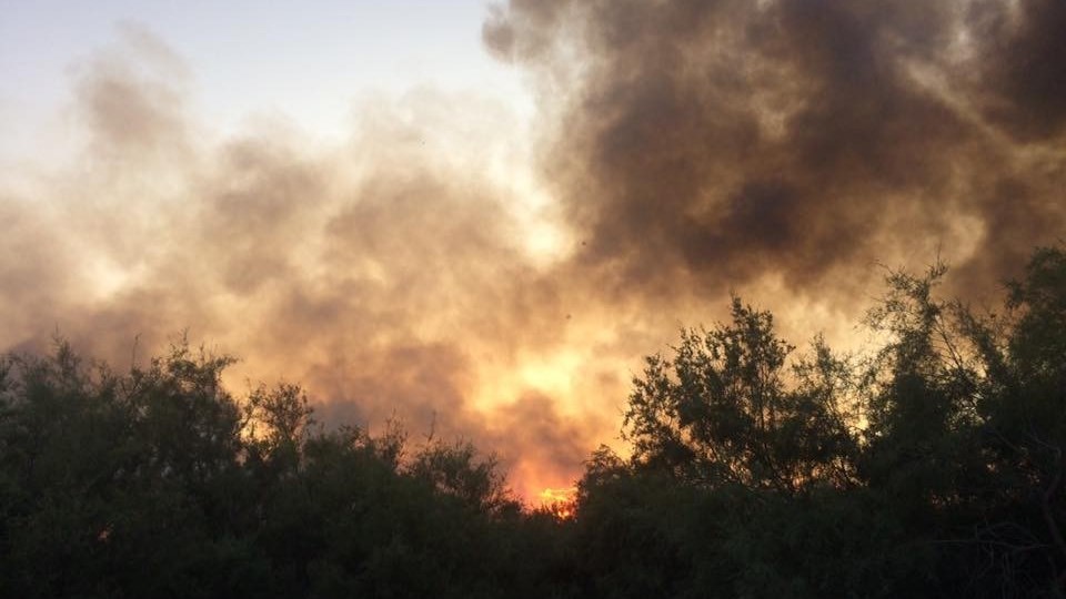 Ολονύχτια μάχη των πυροσβεστών με τις φλόγες στη Ροδόπη