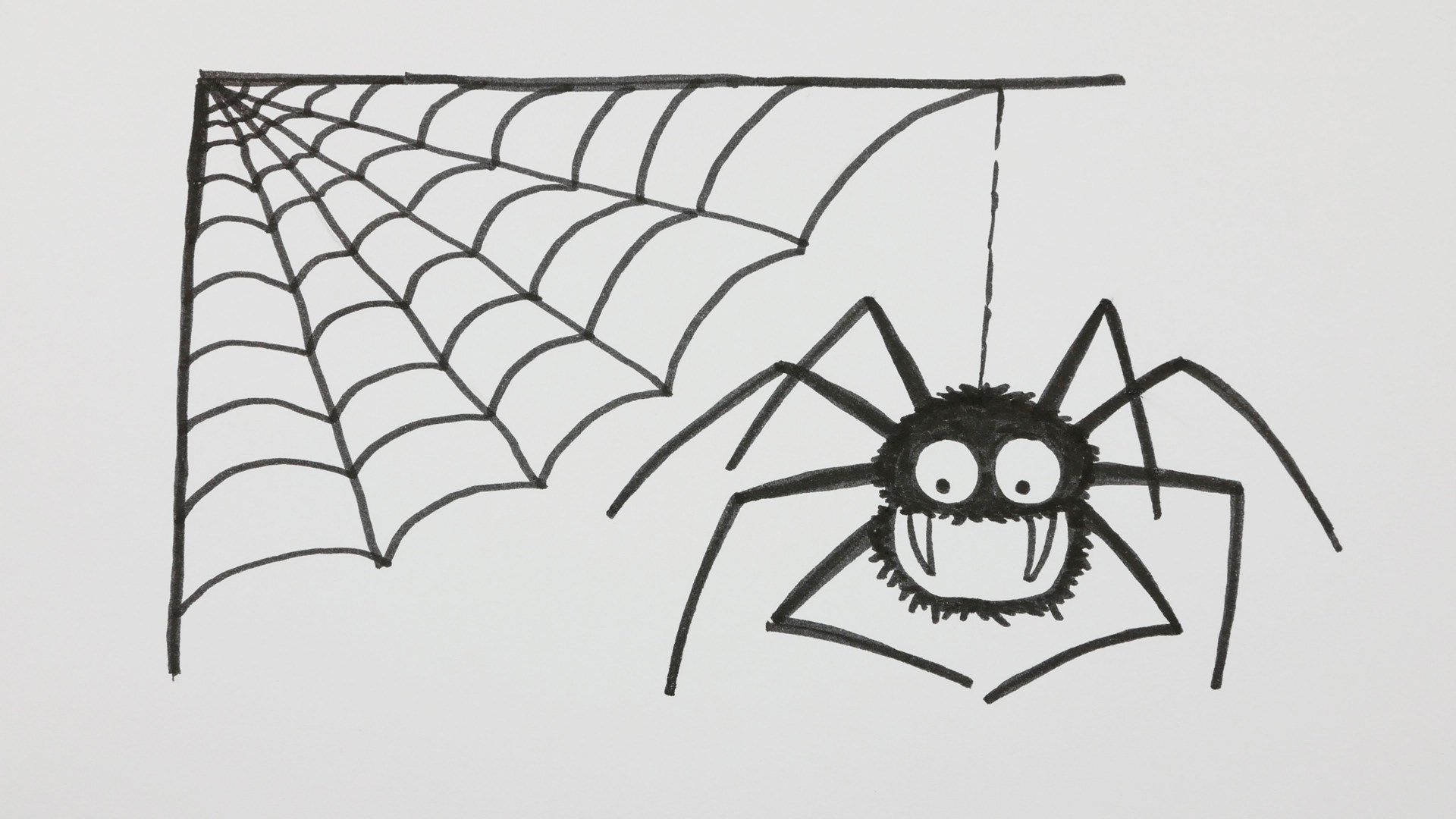 4 τρόποι για να εξαφανίσετε τις αράχνες από το σπίτι σας