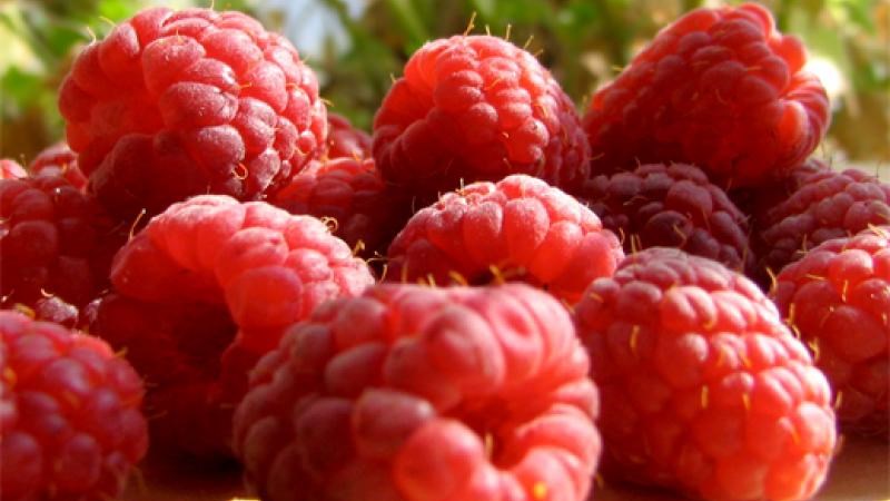 Φρούτο που εξαφανίζει το λίπος; Κι όμως υπάρχει