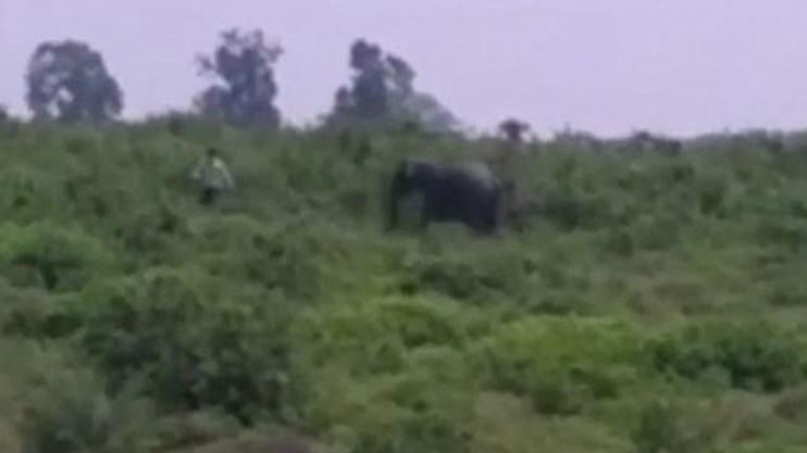 ΒΙΝΤΕΟ σοκ – Ελέφαντας ποδοπατά άνδρα που τον πλησίασε για… να βγάλει selfie μαζί του