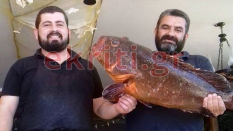 Ψαροντουφεκάς έπιασε ροφό 10 κιλών – ΦΩΤΟ