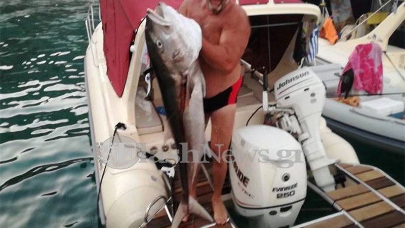 Έβγαλε ψάρι – γίγας βάρους 30 κιλών με το ψαροντούφεκο – ΦΩΤΟ