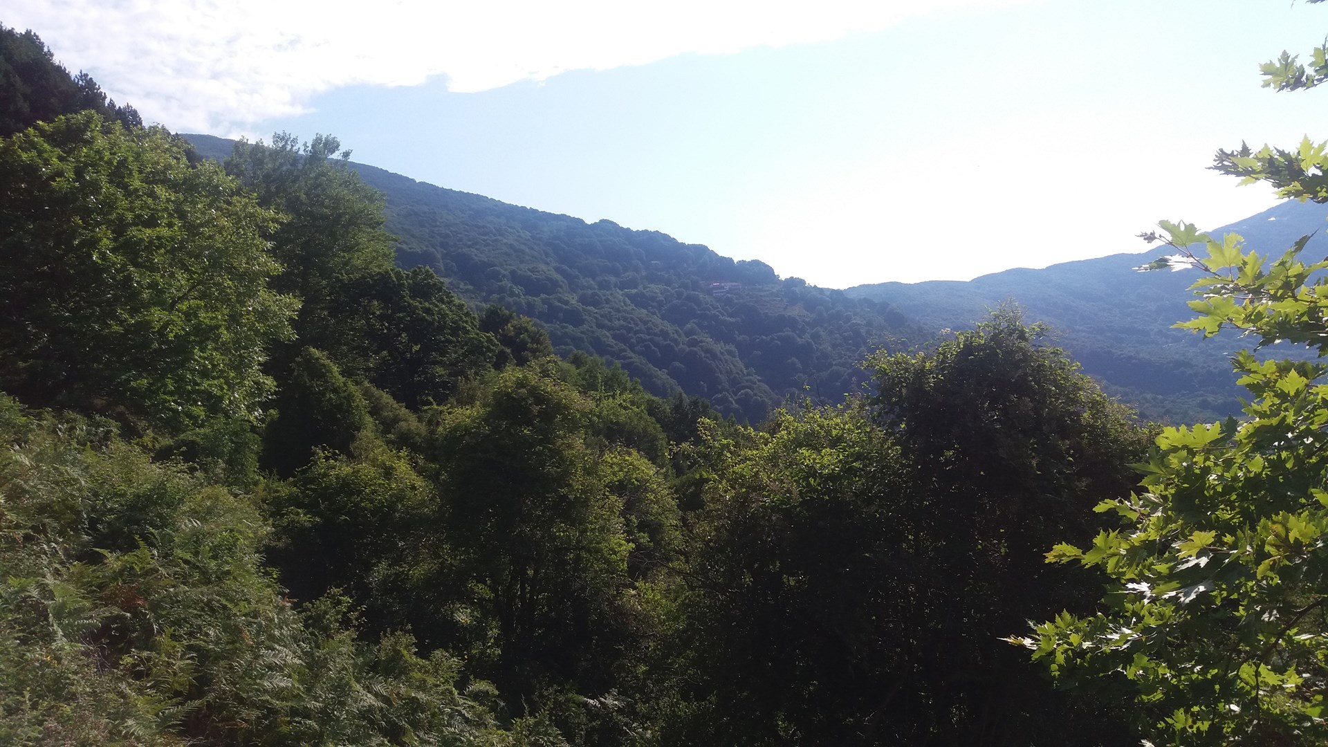 Υψηλός κίνδυνος πυρκαγιάς σε Δωδεκάνησα και Σάμο – 46 φωτιές σε ένα 24ωρο