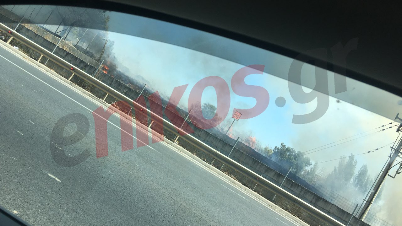 Πυρκαγιά στην Ε.Ο. Αθηνών – Λαμίας – ΤΩΡΑ – ΦΩΤΟ αναγνώστη