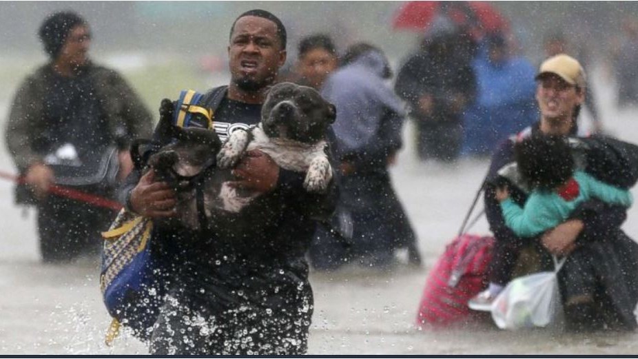 Ο τυφώνας Ίρμα έφτασε στην Κούβα