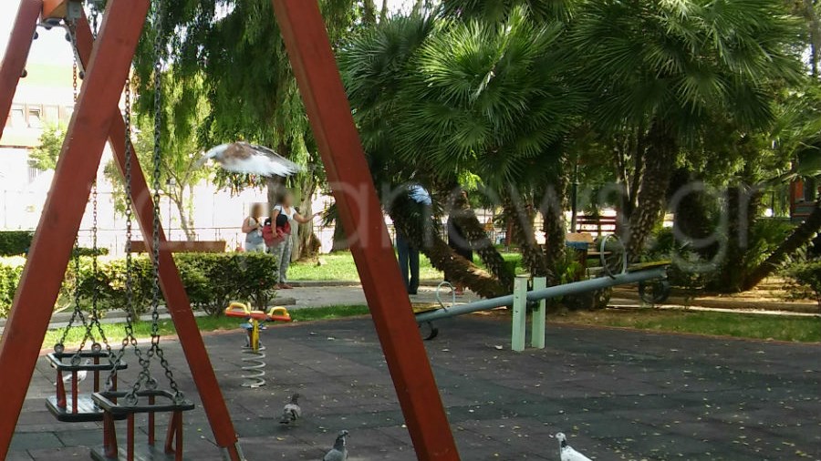 Έκαναν γυμνές μπάνιο σε σιντριβάνι στο κέντρο των Χανίων – ΦΩΤΟ