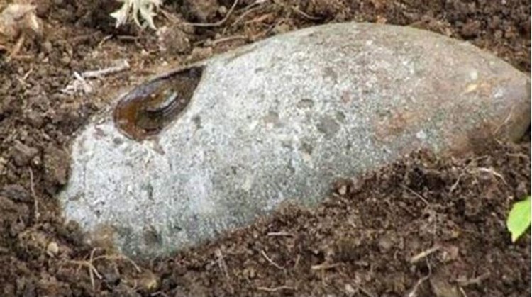 Σε εξέλιξη η εξουδετέρωση των δυο βομβών του Β΄ Παγκοσμίου πολέμου στον Ασπρόπυργο