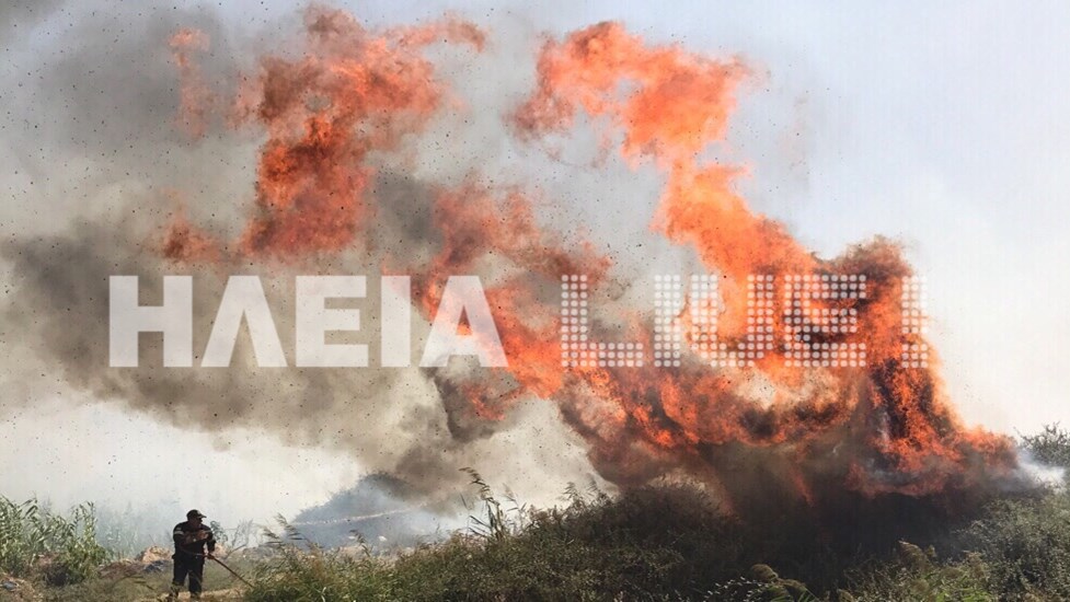 Οι πρώτες εικόνες από τη φωτιά στην Ηλεία – ΦΩΤΟ