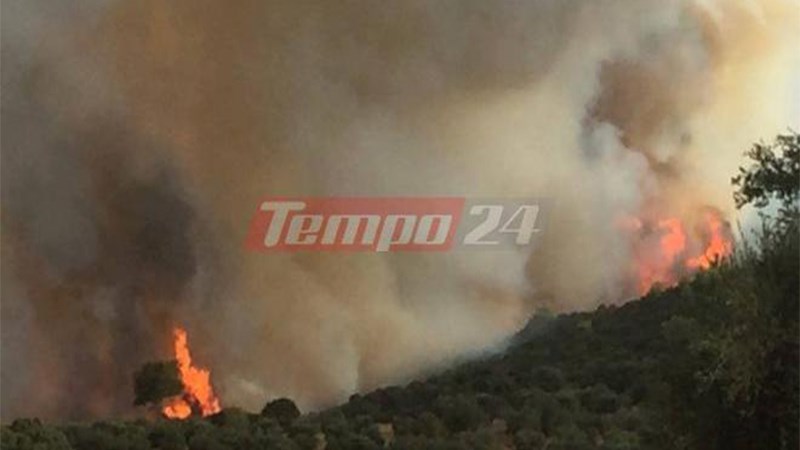 Ολονύχτια μάχη με τις φλόγες στη Δυτική Αχαΐα – Εκκενώθηκαν οικισμοί – ΦΩΤΟ – ΒΙΝΤΕΟ