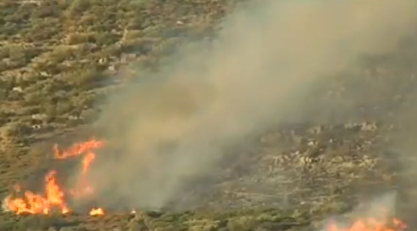 Γ.Γ. Πολιτικής Προστασίας για τη φωτιά στη Δυτική Αχαΐα: Παρουσιάζει καλύτερη εικόνα – ΒΙΝΤΕΟ