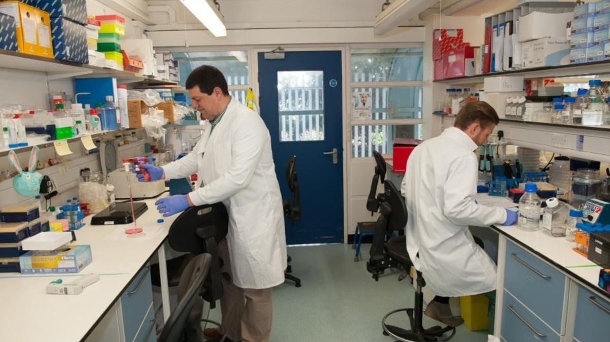 Έλληνας δημιούργησε τεχνητούς χοληφόρους πόρους