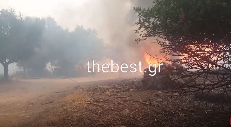 Σε εξέλιξη η πυρκαγιά στη Δυτική Αχαΐα – Συγκλονιστικό ΒΙΝΤΕΟ ντοκουμέντο μέσα από τις εστίες της φωτιάς