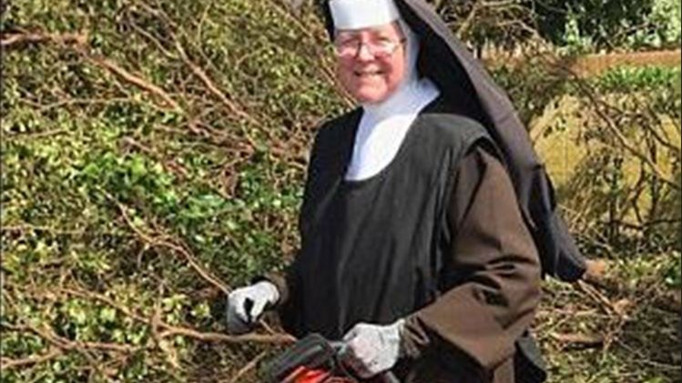 Η καλόγρια με το αλυσοπρίονο που έγινε viral – ΒΙΝΤΕΟ