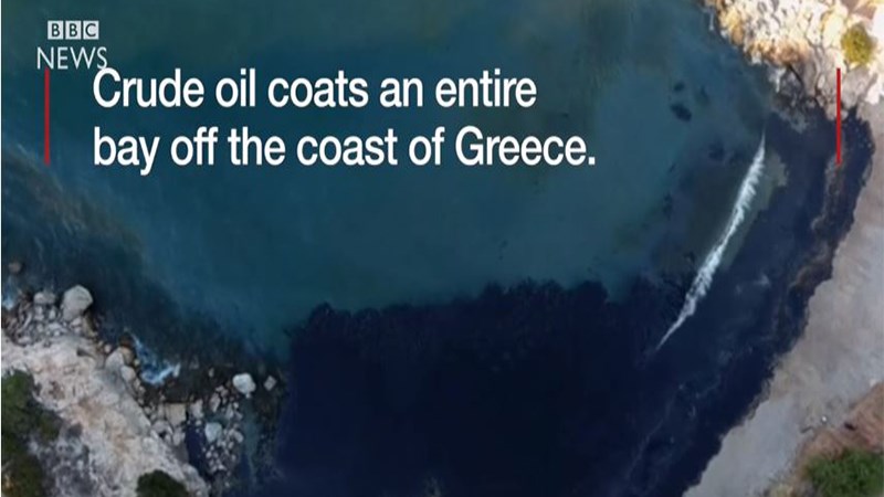 Τα διεθνή ΜΜΕ για την οικολογική καταστροφή στον Σαρωνικό – ΦΩΤΟ – ΒΙΝΤΕΟ