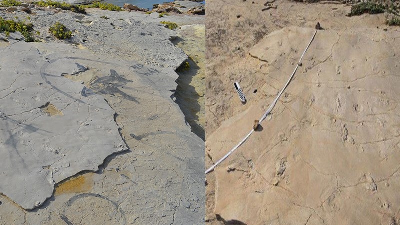 Βάνδαλοι αφαίρεσαν απολιθωμένα ίχνη βάδισης του ανθρώπου ηλικίας 5,7 εκατ. χρόνων στην Κίσσαμο – ΦΩΤΟ