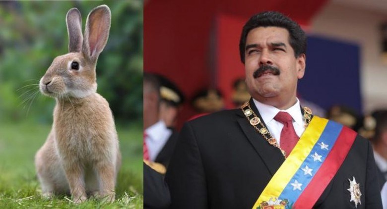 Κι όμως μιλάει σοβαρά: Ο Μαδούρο θα εφαρμόσει το… «πλάνο-κουνέλι» για να κατατροπώσει τους ιμπεριαλιστές – ΦΩΤΟ