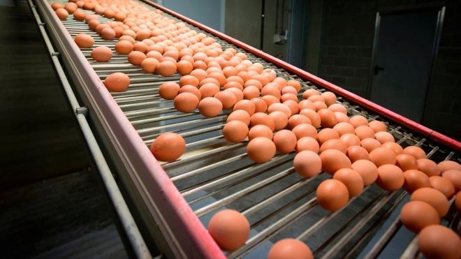 Στο Ευρωκοινοβούλιο τα «τοξικά αυγά»