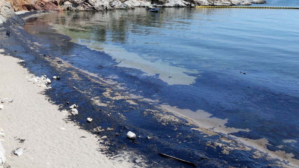Ο διευθυντής ερευνών του Ινστιτούτου Ωκεανογραφίας στον Realfm 97,8 για την οικολογική καταστροφή στον Σαρωνικό