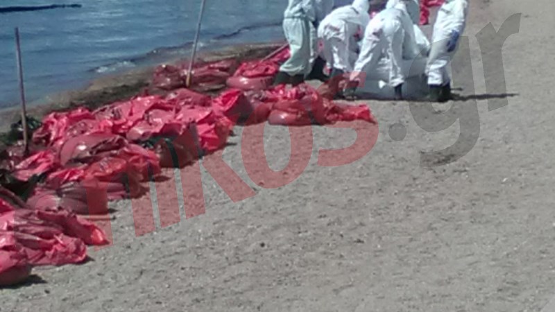 ΦΩΤΟ αναγνώστη από την επιχείρηση καθαρισμού στη Γλυφάδα