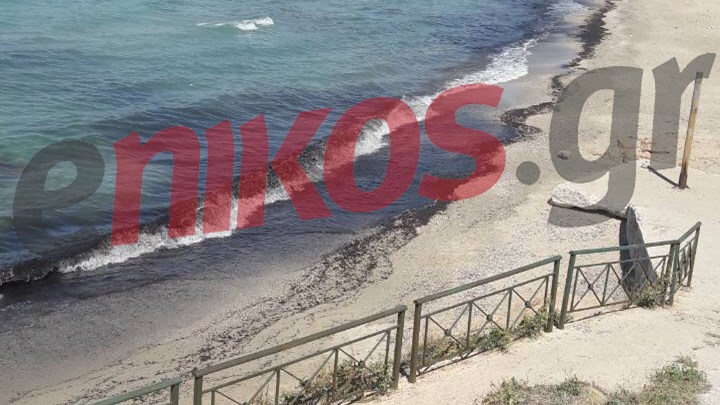 Το πρωί καθάρισαν την παραλία στη Σαρωνίδα και το μεσημέρι “μαύρισε” ξανά – ΦΩΤΟ αναγνώστη