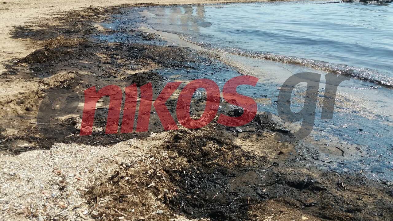 Το ΕΛΚΕΘΕ προειδοποιεί: Η ρύπανση στον Σαρωνικό τείνει να λάβει πολύ σοβαρότερες διαστάσεις