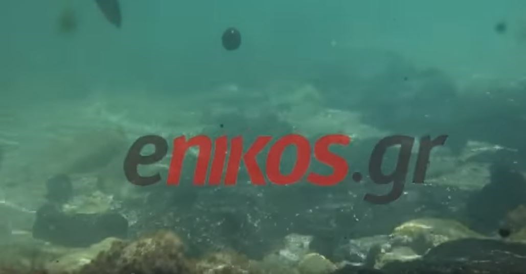 Αποκλειστικό: Οι πρώτες υποβρύχιες εικόνες από την Σαλαμίνα – ΒΙΝΤΕΟ
