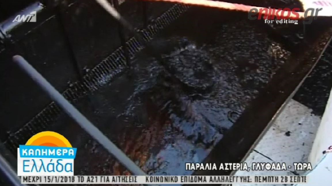Καθηγητής τοξικολογίας: Χρειάζονται περίπου 2 χρόνια για να καθαρίσουν οι θάλασσες – ΒΙΝΤΕΟ