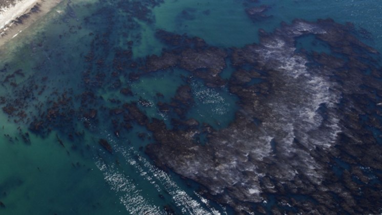 Δύο Ελληνίδες ανακάλυψαν υλικό για τον καθαρισμό πετρελαιοκηλίδων