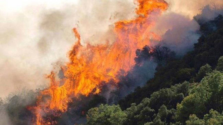 Εθελοντής δασοπυροσβέστης καταδικάστηκε για εμπρησμό στη Σάμο